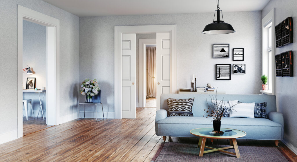 Understanding the Different Types of Pocket Door and Sliding Door Systems 3 double pocket doors